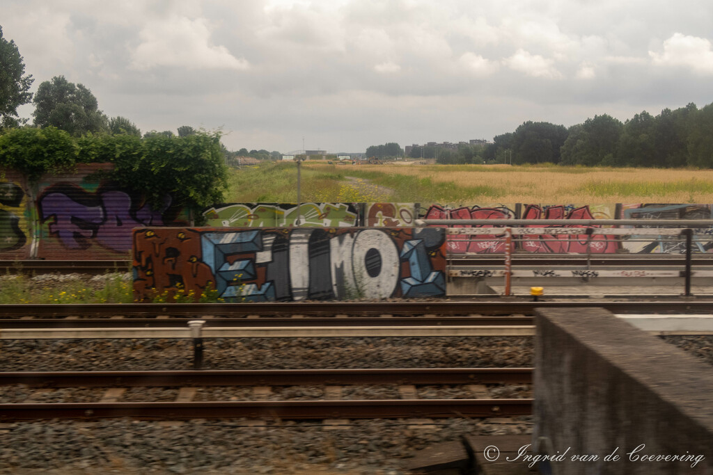 Graffiti  by ingrid01