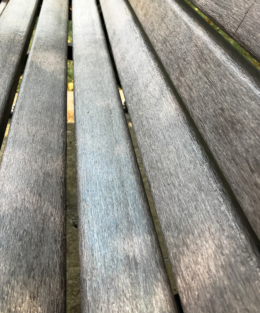 Abstract bench by mittens