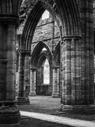 8th Aug 2021 - tintern abbey