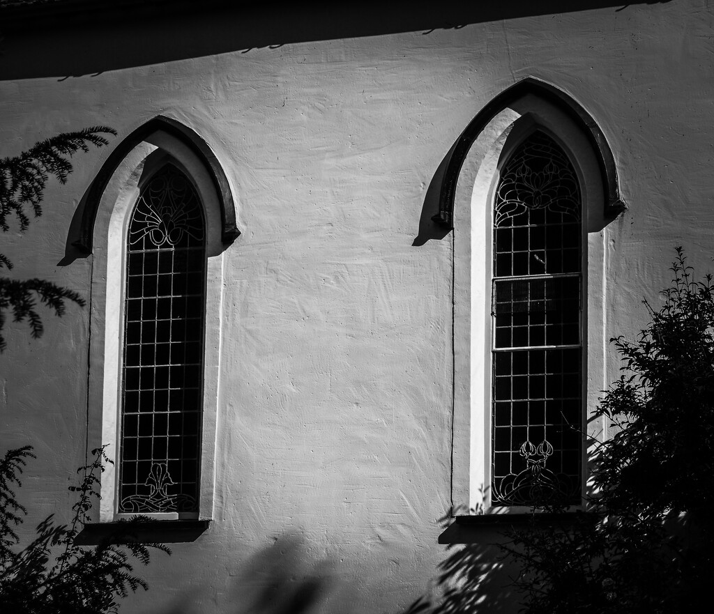 windows by cam365pix