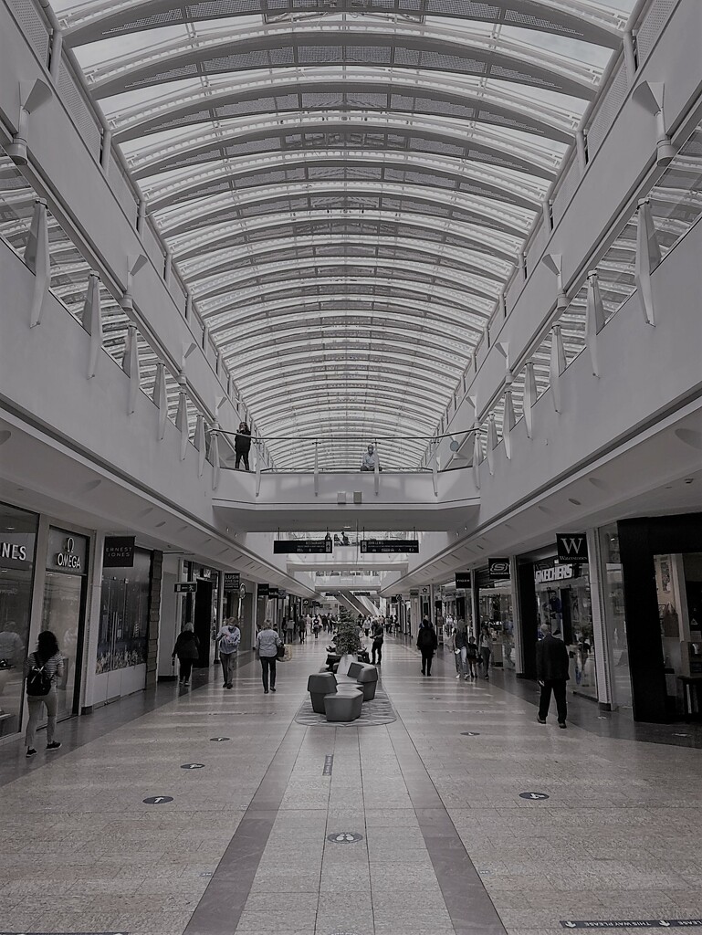 mall shopping by cam365pix