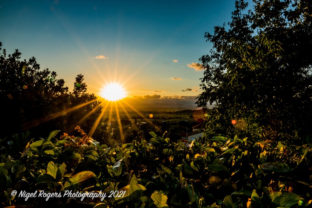 sunset over the hedge by nigelrogers
