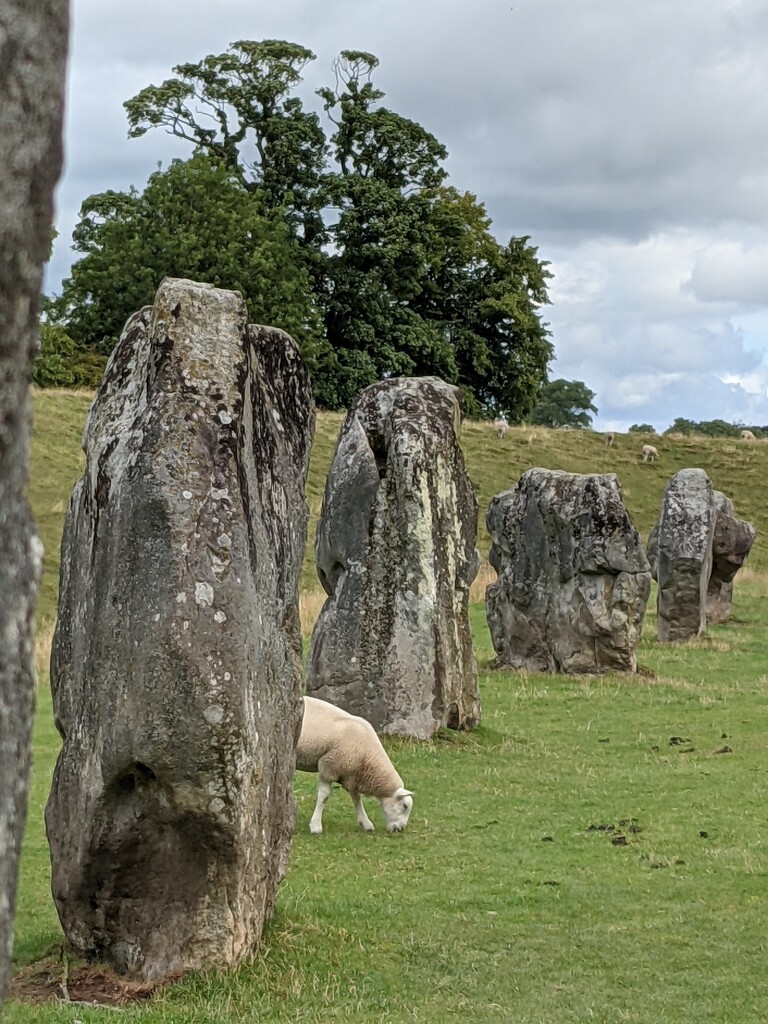 Part of the stone circle at Avebury. by yorkshirelady
