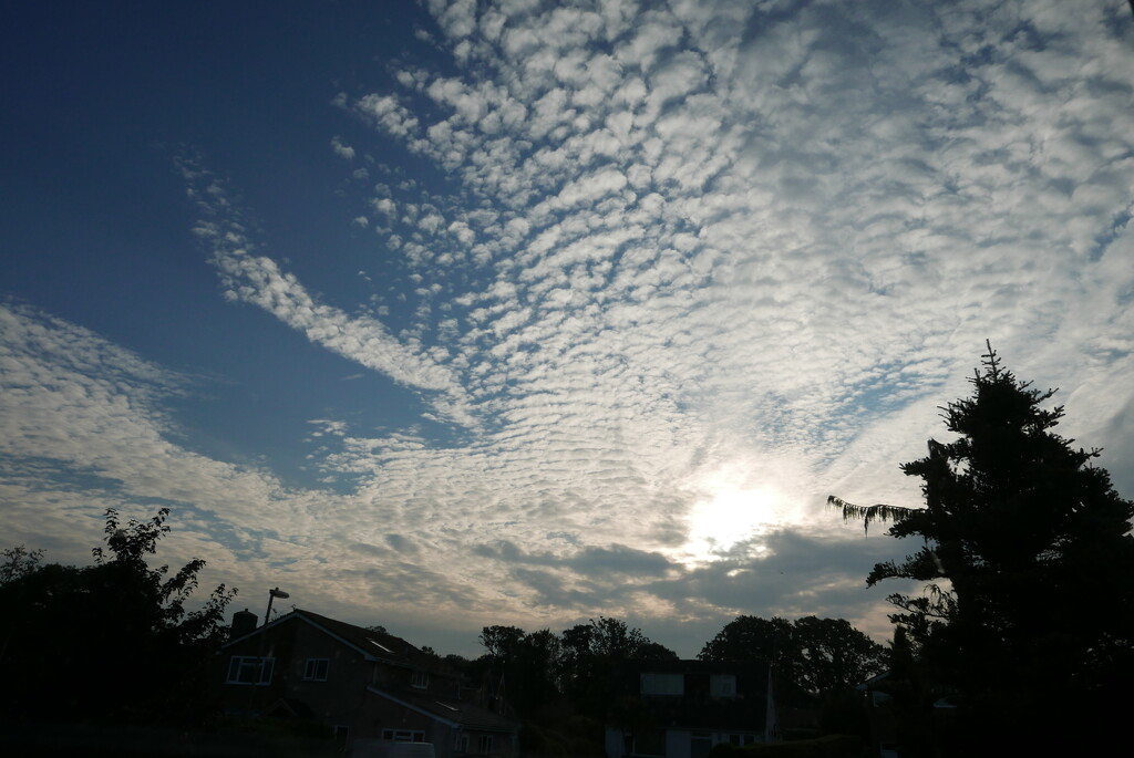 morning sky by quietpurplehaze