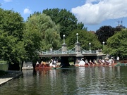 11th Aug 2021 - Swan boats 