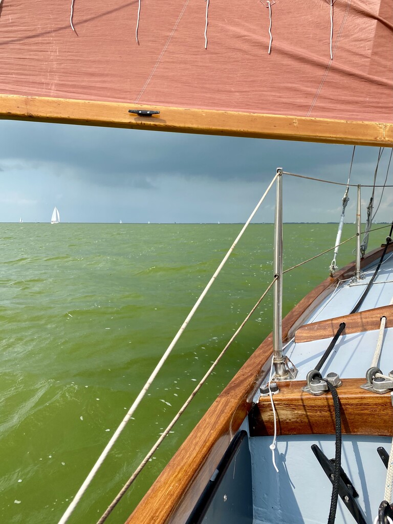 Lovely day of sailing on the IJsselmeer by stimuloog