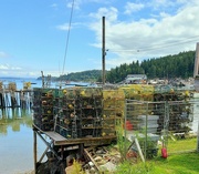 7th Aug 2021 - Lobster Traps