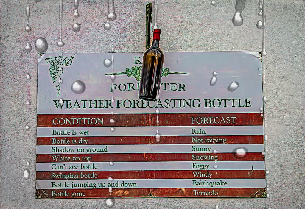 Forecasting weather in the Winelands by ludwigsdiana