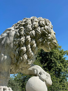 12th Aug 2021 - Kedleston Lion