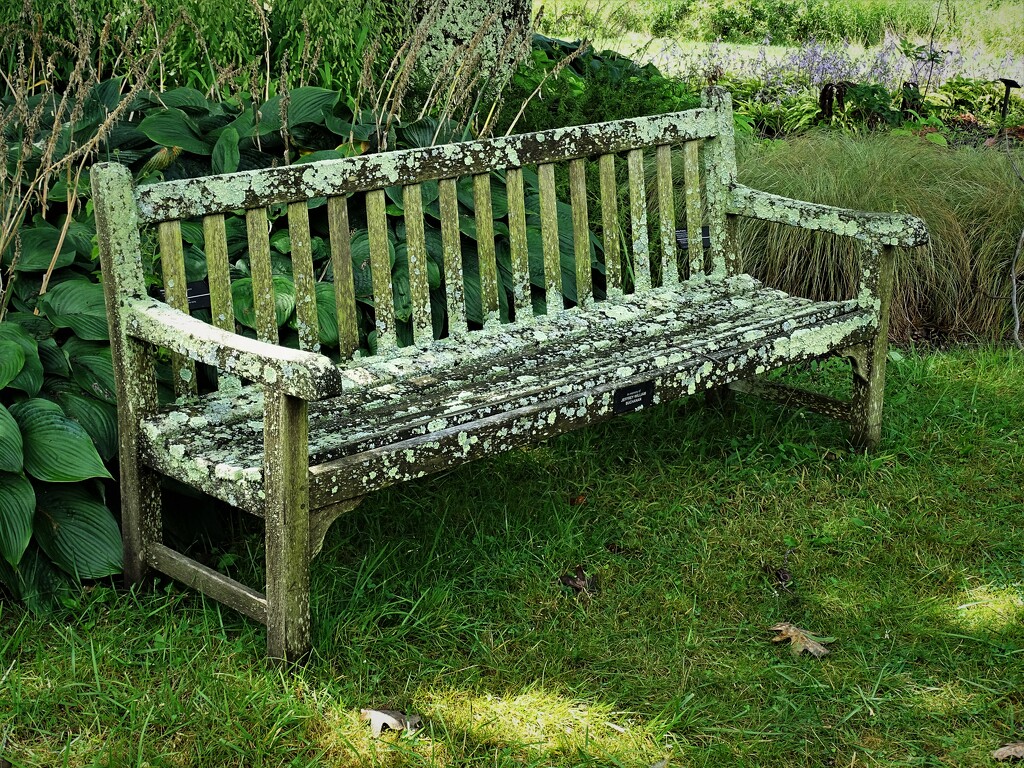 Crusty Old Bench by brillomick