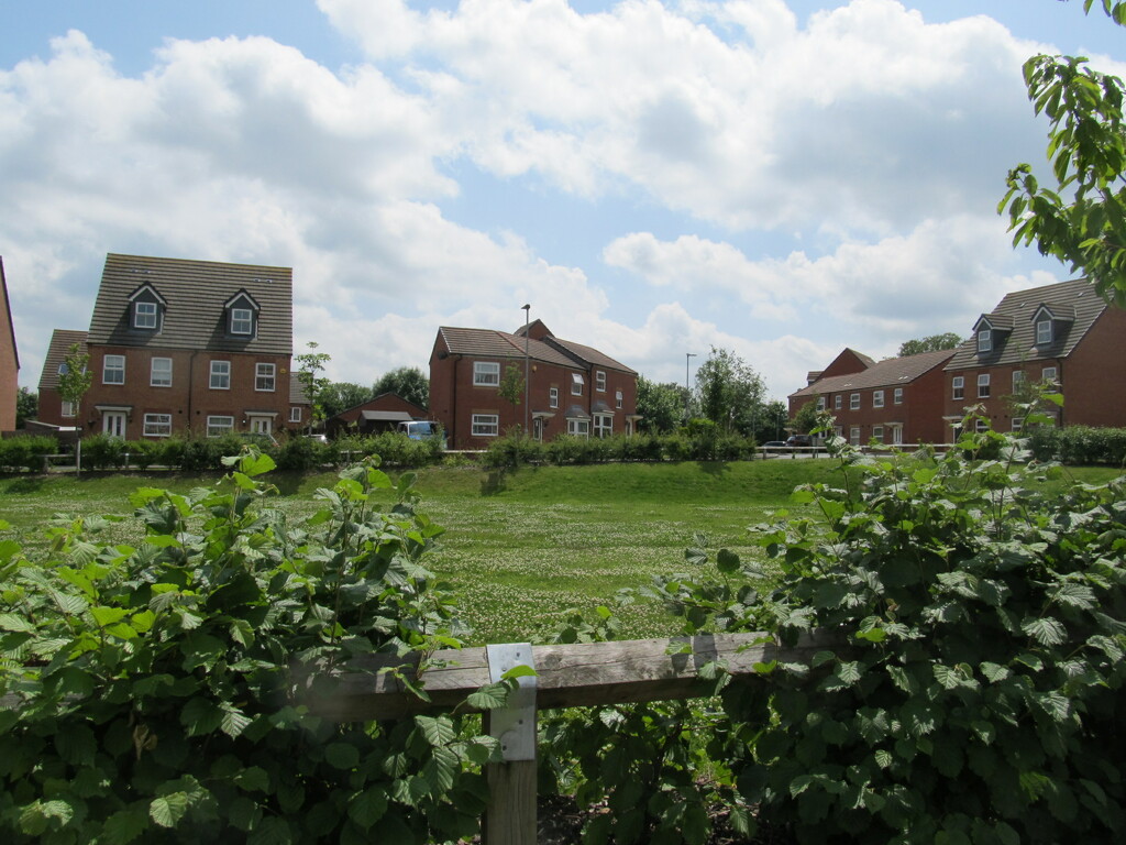 New estate green space by speedwell