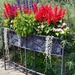 Flower stand by bruni