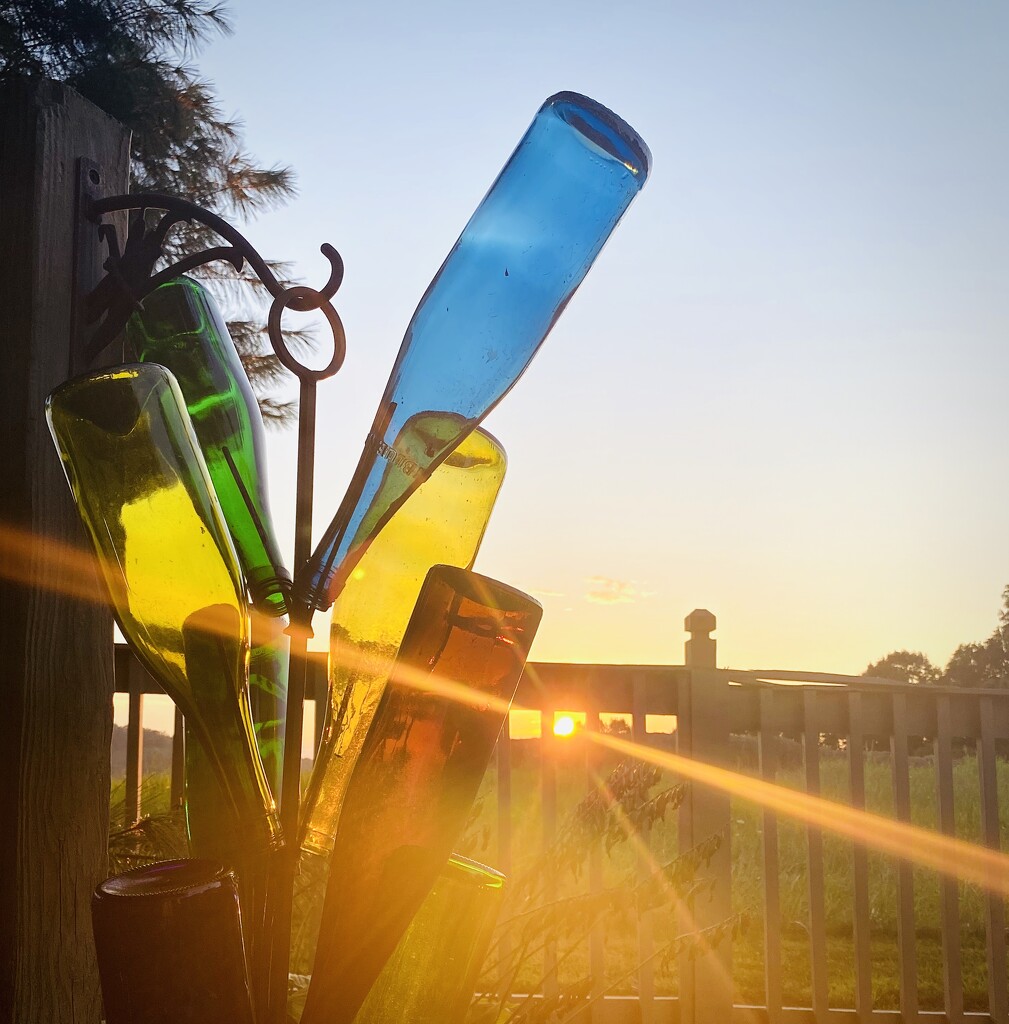 Bottles in the Late Day Sun by calm
