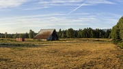 12th Aug 2021 - Old barn