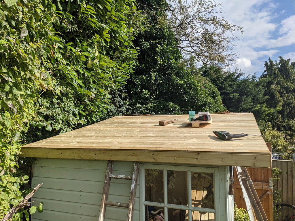 New Shed Roof by bulldog