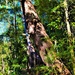  Shadows On The Tree Trunks ~       by happysnaps