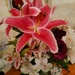 Garden lilies  by sarah19