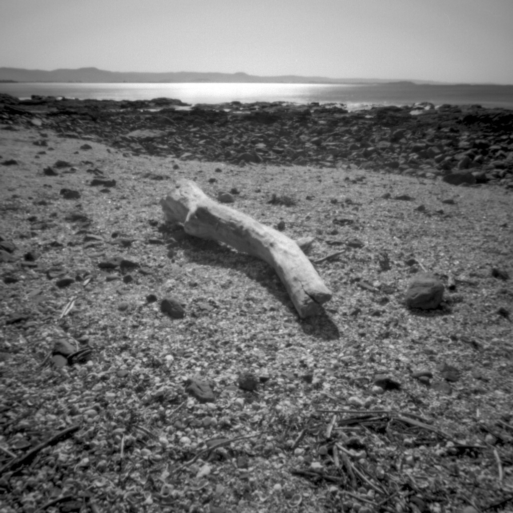 Ashore onto middens by peterdegraaff