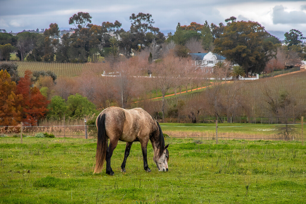 Typical country living by ludwigsdiana