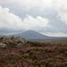 Mount Keen and the bonnie blooming heather by jamibann