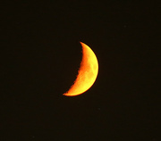 13th Aug 2021 - Wildfire moon