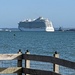 Missed the boat...nice to see cruise ships running again. by yorkshirelady