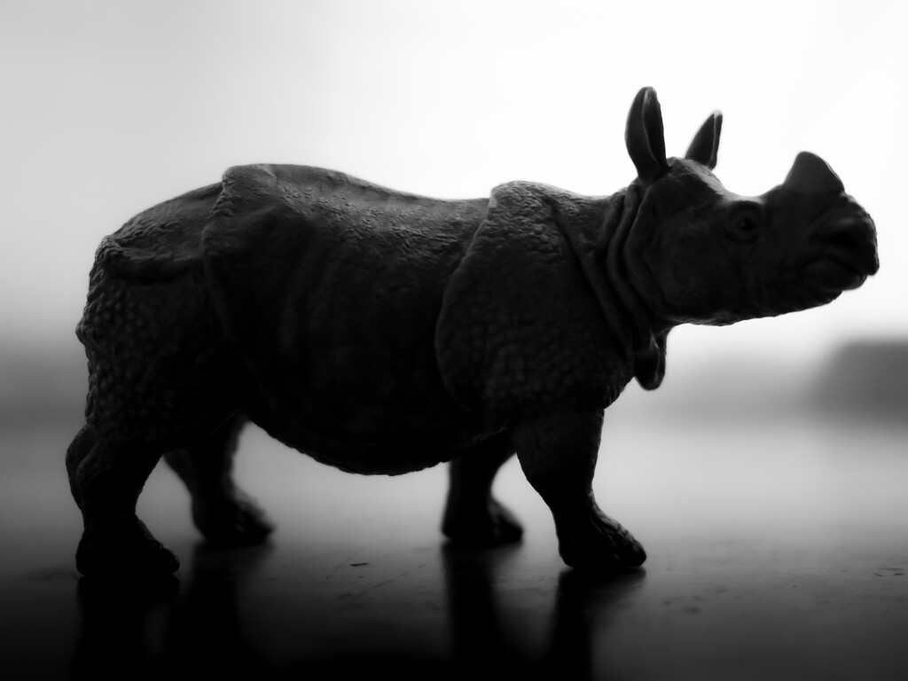 rhino silhouette... by northy