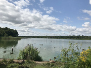 2nd Aug 2021 - Rollesby Broad