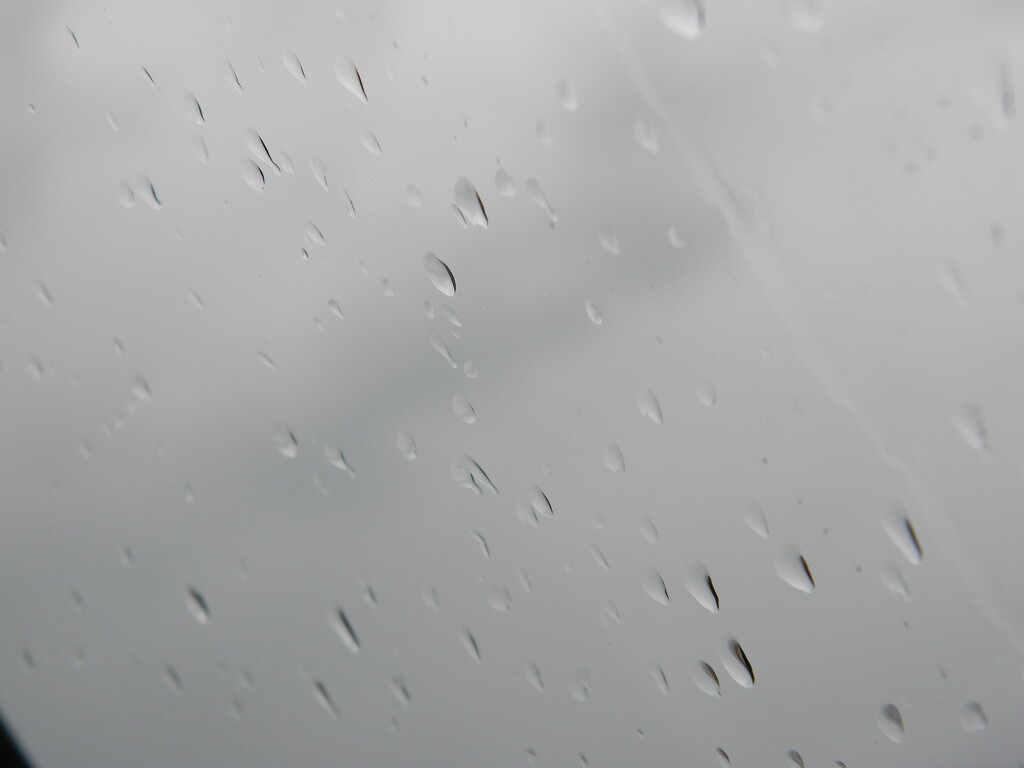 Raindrops on Car Window  by sfeldphotos