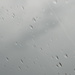 Raindrops on Car Window  by sfeldphotos