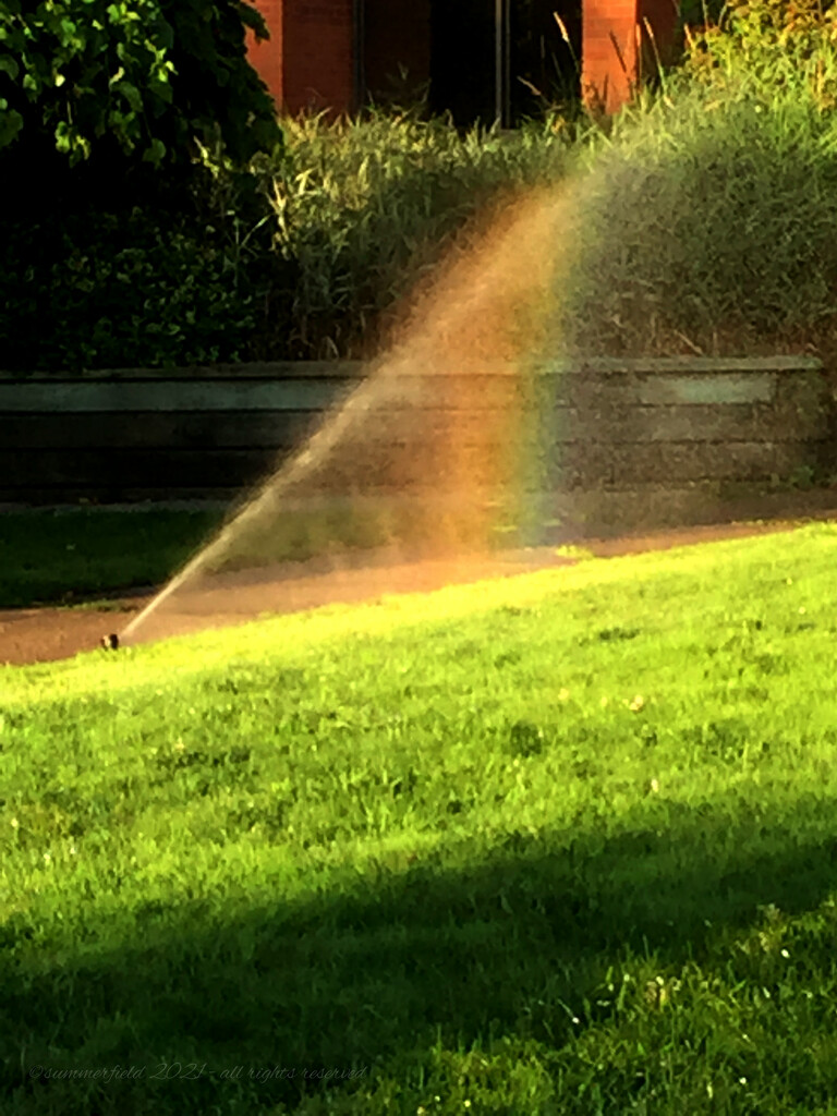 seeing rainbows by summerfield