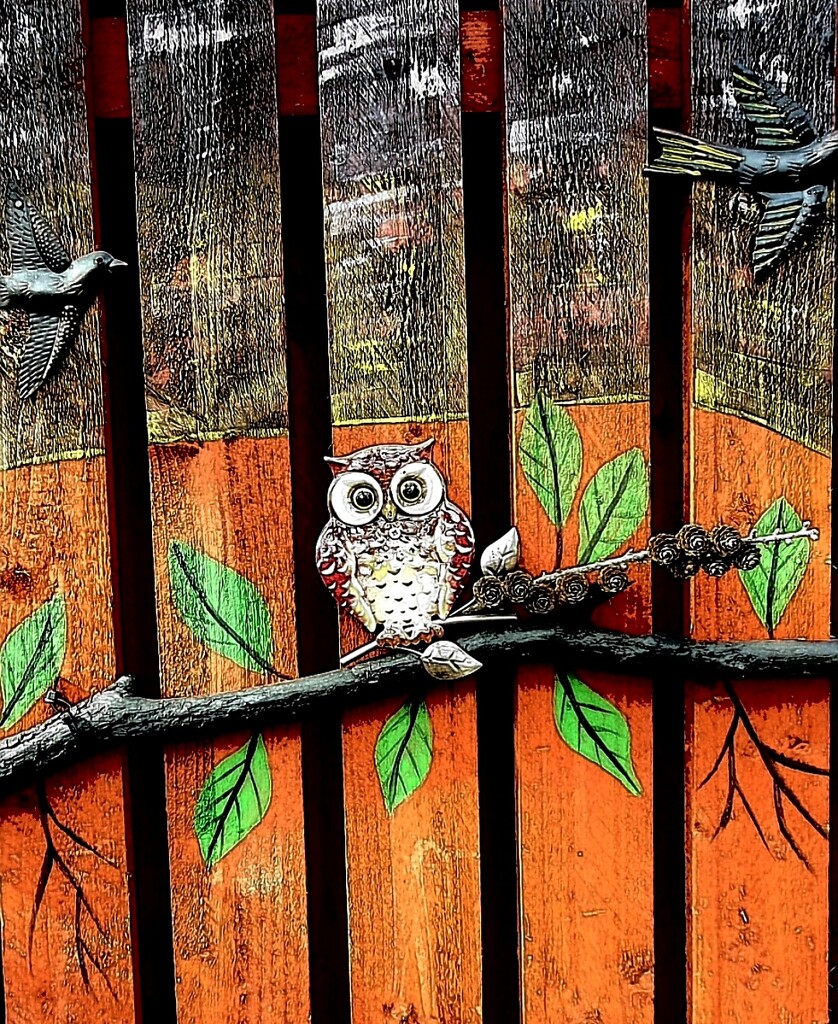 My Fence Art -2. by teresahodgkinson