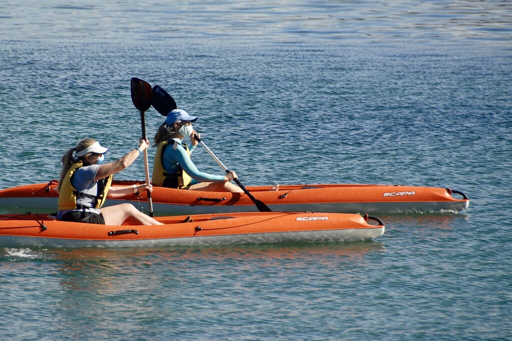 Kayaking in Sydney Harbour.  by johnfalconer