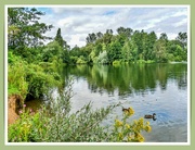 15th Aug 2021 - Lake View,Delapre Abbey Gardens