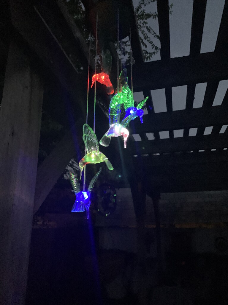 My glow in the dark hummingbirds by louannwarren