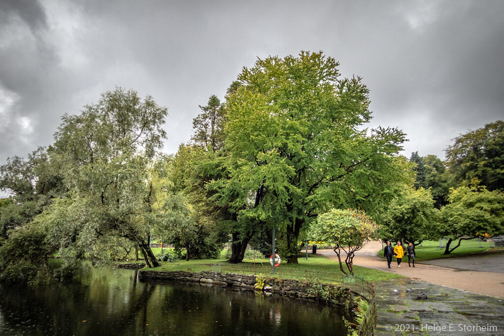A walk in the park on a rainy day by helstor365