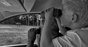 15th Aug 2021 - On Safari, the photographer at work