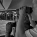 On Safari, the photographer at work by laroque