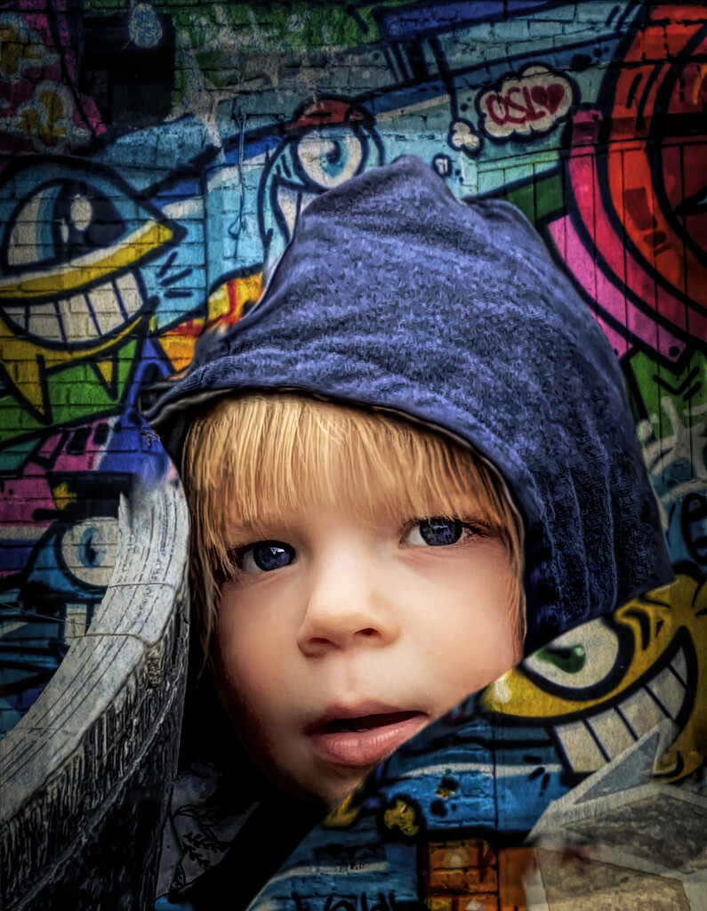 Hiding In Graffitti  by joysfocus
