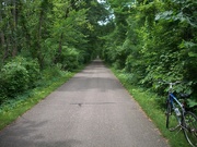 15th Aug 2021 -  tunnel of trees