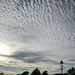 Such an unusual sky pattern by yorkshirelady
