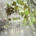 Raindrops over the window ☔️☔️☔️ by joemuli