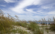 15th Aug 2021 - Sea Grasses on Hilton Head Island