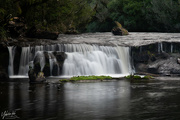 15th Aug 2021 - Whio Falls