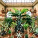 succulents in the orangery by cam365pix
