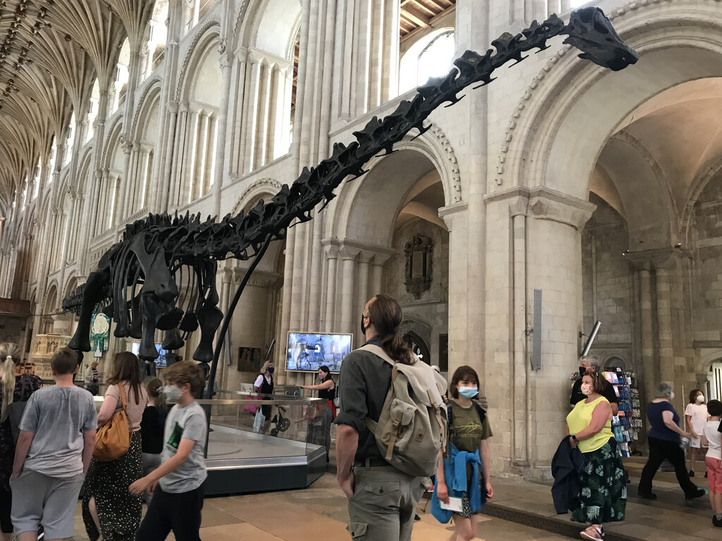 Dippy on Tour by daffodill