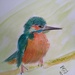 Scruffy Kingfisher by artsygang