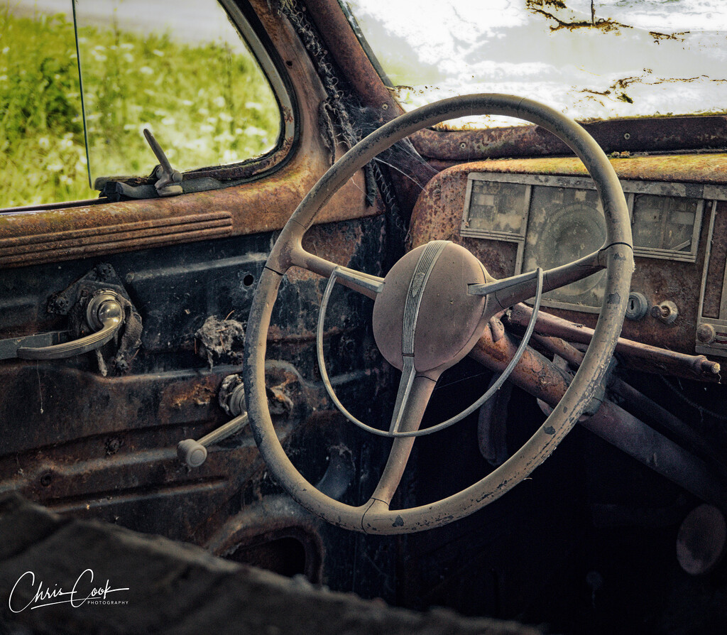 Steering Wheel, ‘39 Plymouth by cdcook48