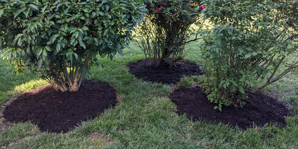 Mulching done for another year by rhoing