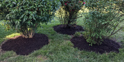 30th May 2021 - Mulching done for another year